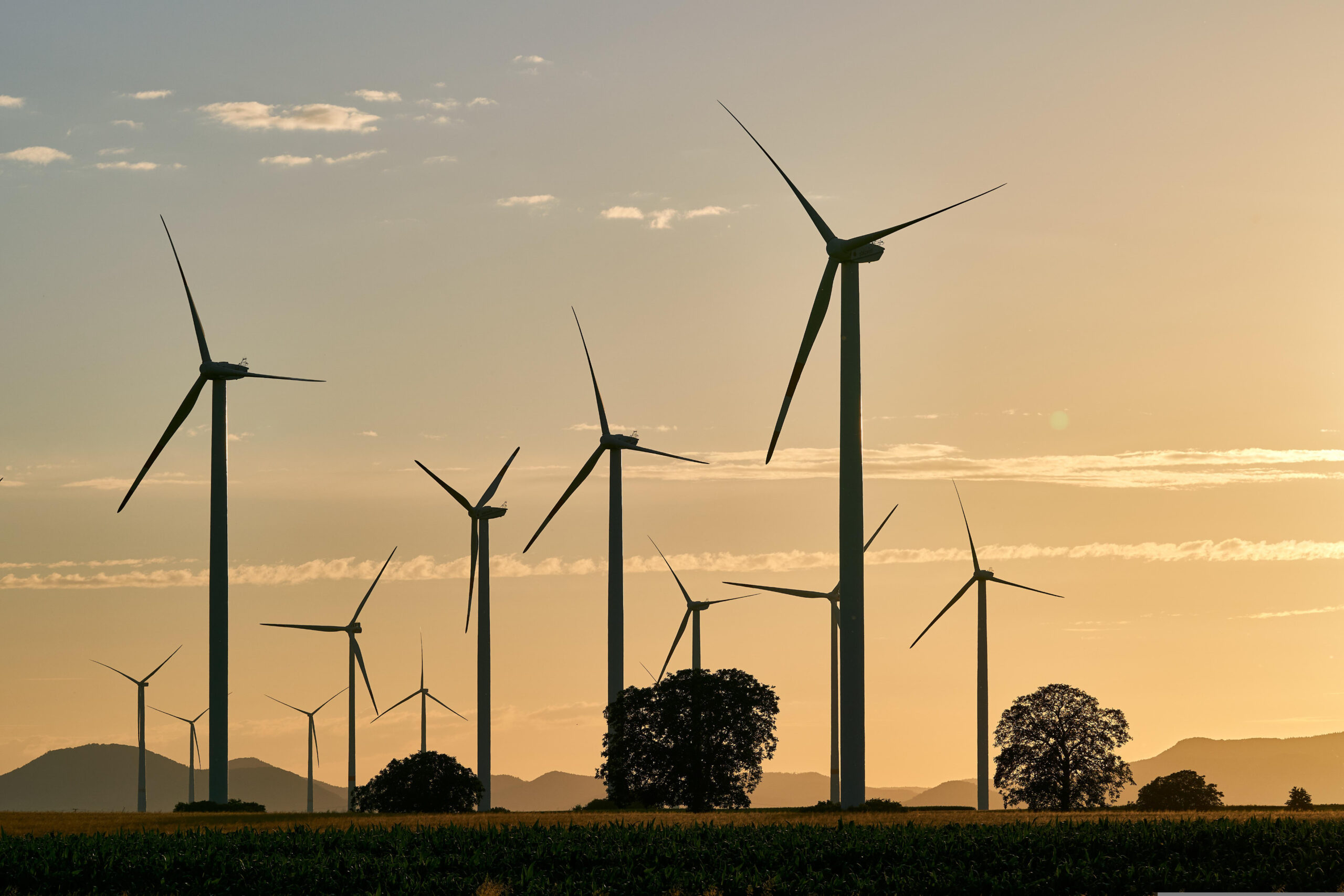 Renewable Energy